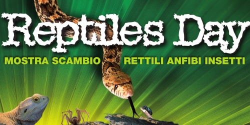 Reptiles Day - Longarone Fiere